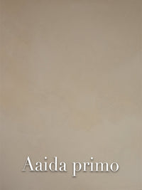 Aaida Primo