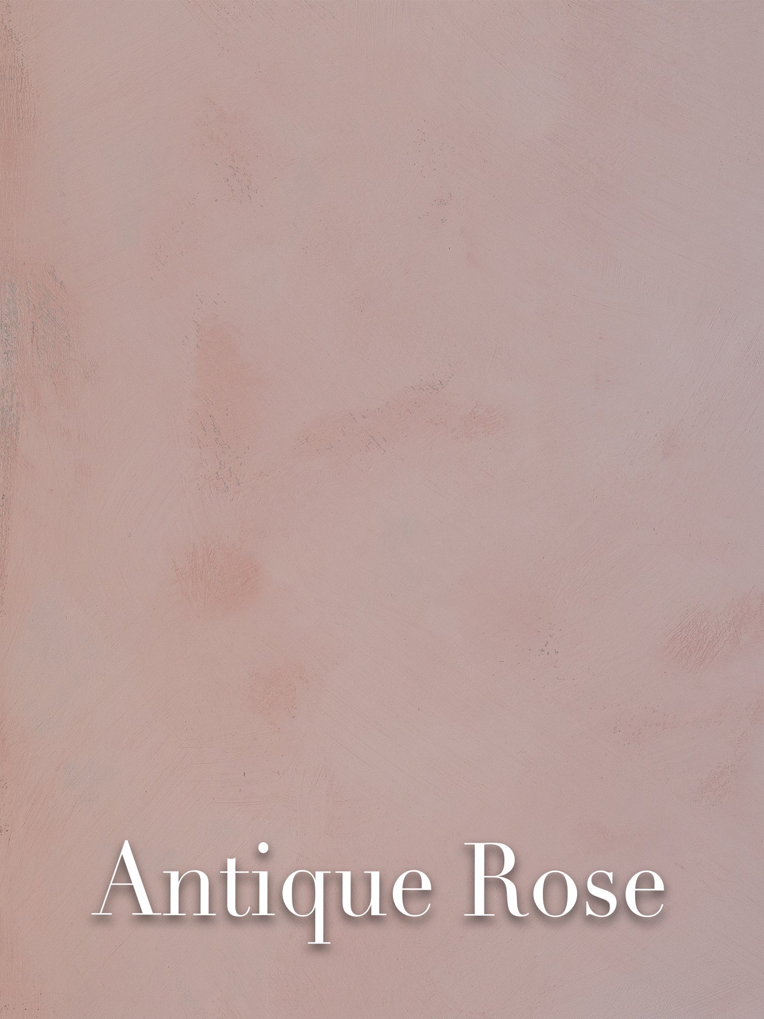 Antique Rose