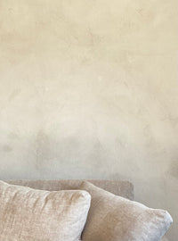 Plaster Paint - Raw