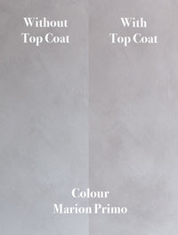 Top coat
